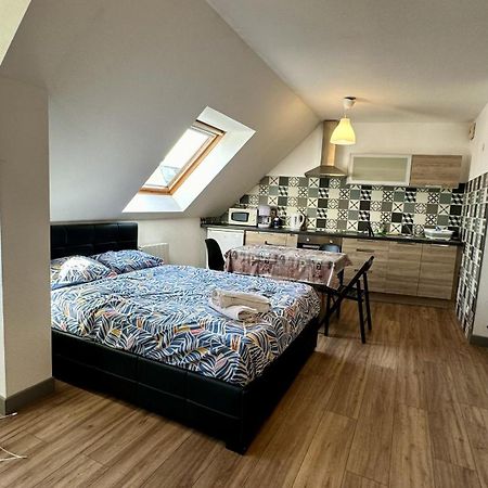 Appartement 4 Personnes En Plein Centre De Colmar Exteriér fotografie